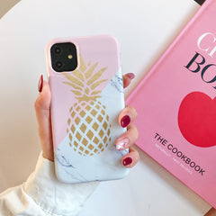 Pineapple case